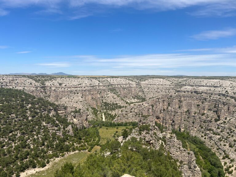 big_tarim_ziyarerti_istanbul_holding (2)