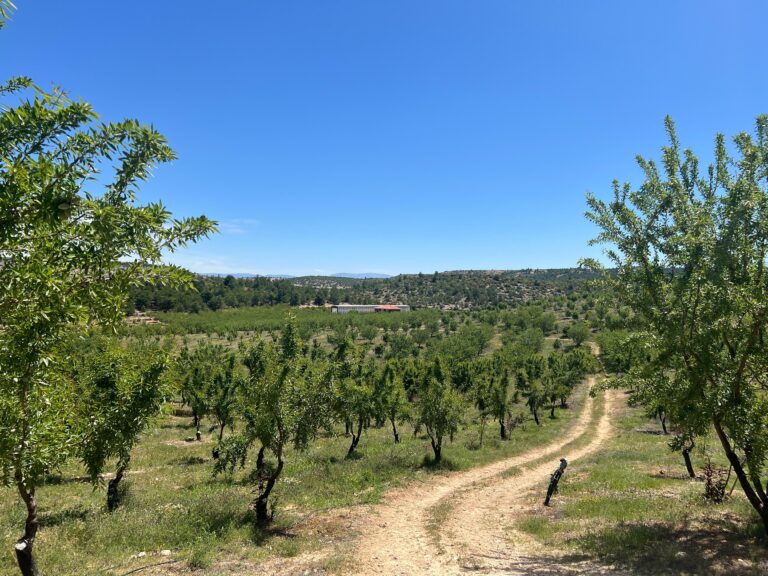 big_tarim_ziyarerti_istanbul_holding (3)